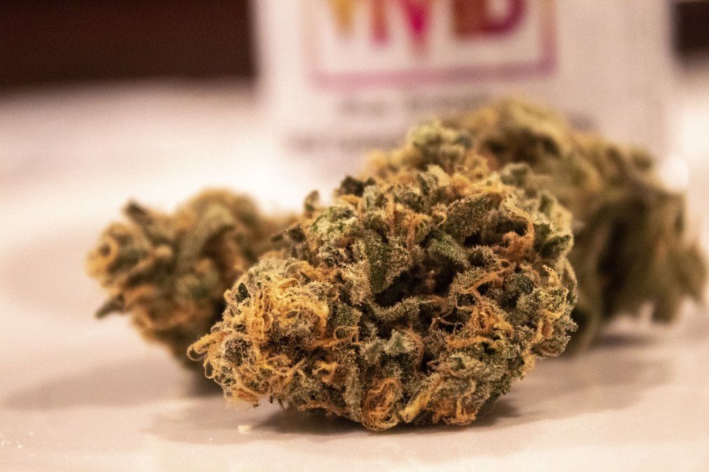 Ministerium: Erste Woche nach Cannabis-Freigabe ruhig verlaufen Ministerium: Erste Woche nach Cannabis-Freigabe ruhig verlaufen