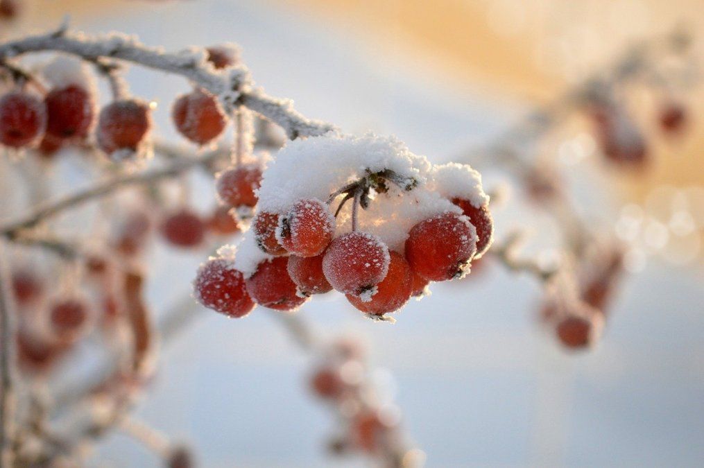 Nach dem Sturm - Frisches und windiges Wetter