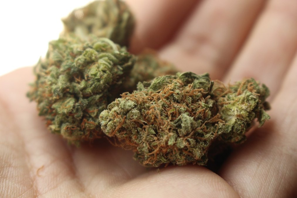 Vertreter der Suchthilfe sehen Vorteile der Cannabis-Legalisierung Vertreter der Suchthilfe sehen Vorteile der Cannabis-Legalisierung