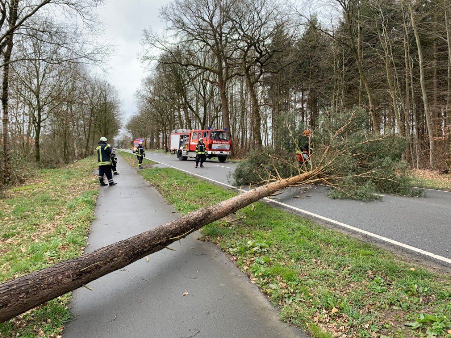 Sturm beschädigt Autos und Häuser in Rheinland-Pfalz Sturm beschädigt Autos und Häuser in Rheinland-Pfalz