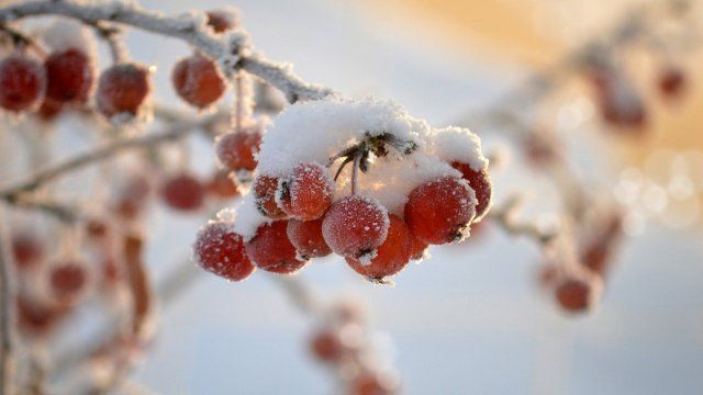 Nach dem Sturm - Frisches und windiges Wetter