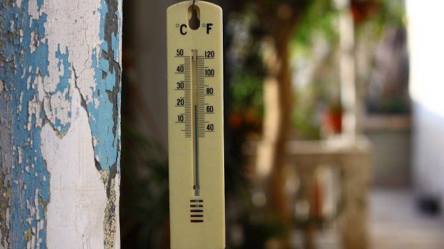 April in Rheinland-Pfalz war zu warm