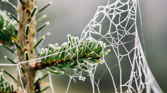 Kaltfront erreicht Rheinland-Pfalz 