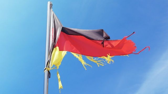 Grünes Vorstandsmitglied fordert bundesweites AfD-Verbot