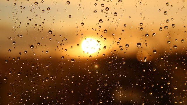 Wochenstart mit Regen - Feiertag wird sonnig