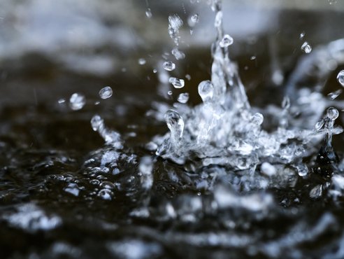 Grundwasserspiegel erholt - aber noch keine Entspannung Grundwasserspiegel erholt - aber noch keine Entspannung
