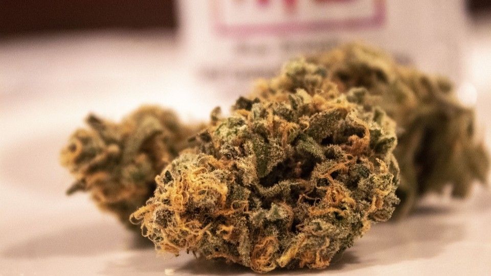 Cannabis-Kontrollen: Verband sieht hohe Kosten auf Kommunen zukommen