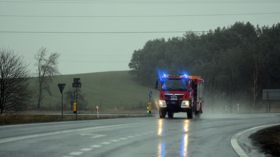 14 Feuerwehreinsätze wegen giftiger Tiere in den letzten fünf Jahren
