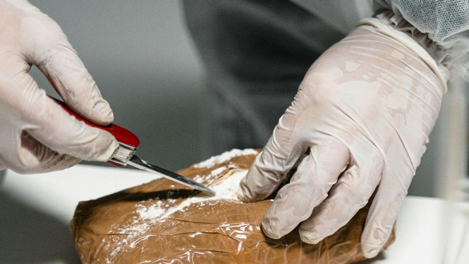 Kokain im Wert von mehr als 200 000 Euro sichergestellt