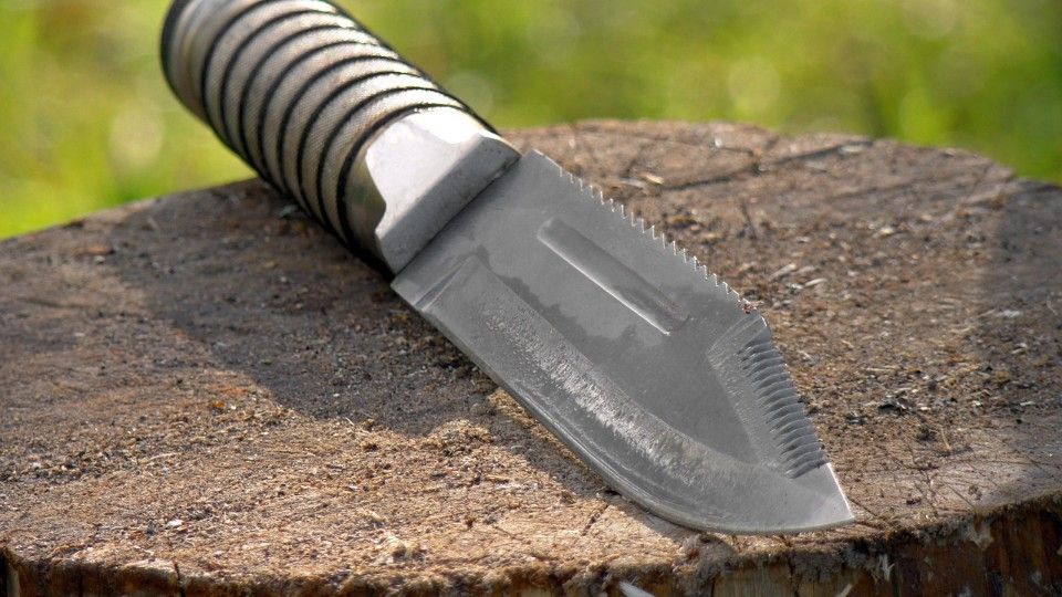 Rheinland-Pfalz unterstützt Prüfantrag zu Angriffen mit Messern