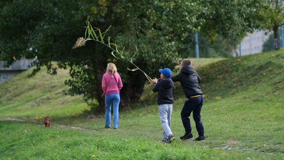 Studie: Alleinerziehende in Rheinland-Pfalz stark von Armut betroffen