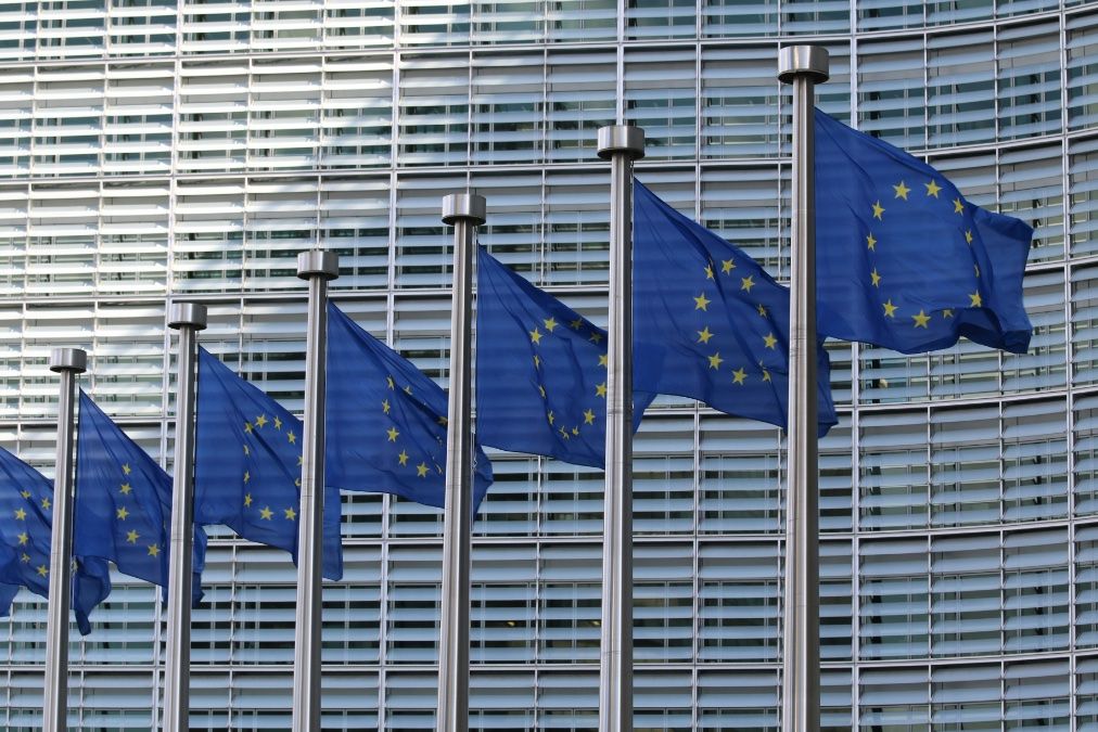 Welche Abgeordneten aus Rheinland-Pfalz ziehen ins EU-Parlament ein?