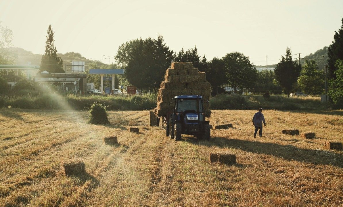 Ungesicherter Traktor überrollt Feldarbeiter Ungesicherter Traktor überrollt Feldarbeiter