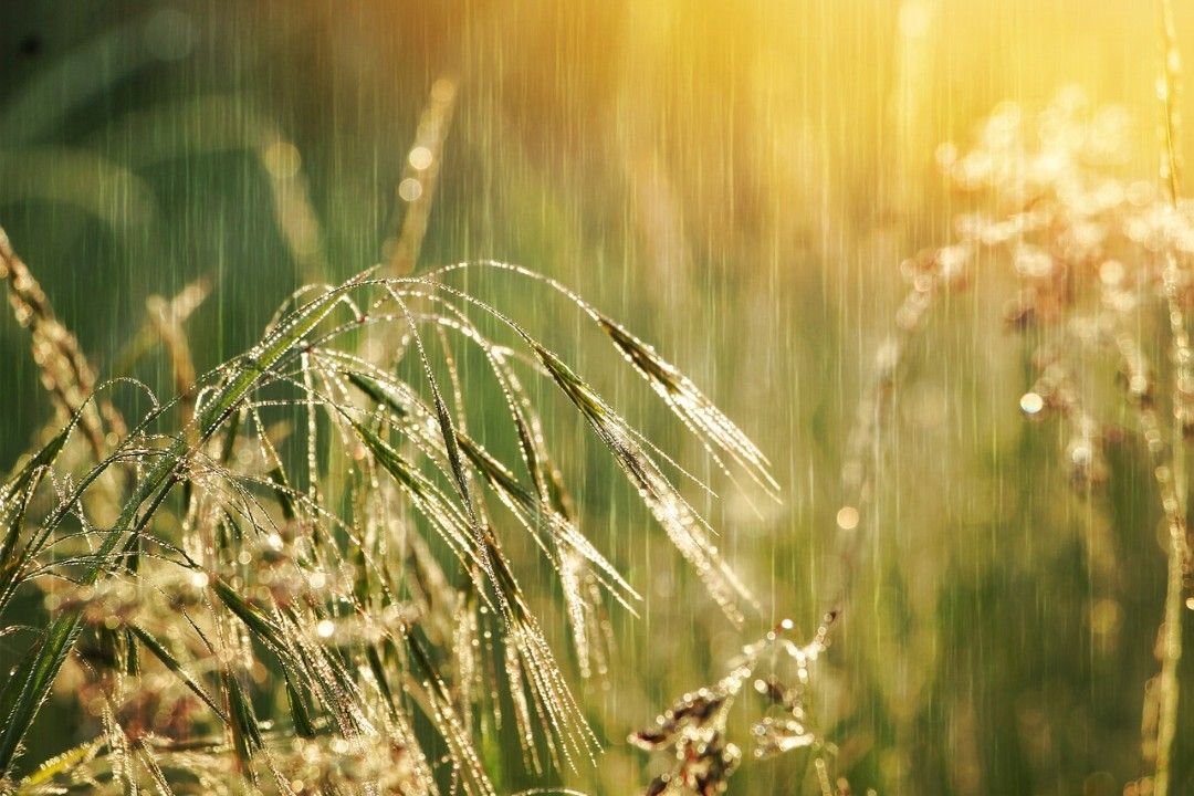 Bis zu 28 Grad und Regen am Wochenende erwartet