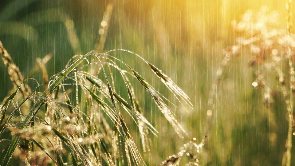 Bis zu 28 Grad und Regen am Wochenende erwartet