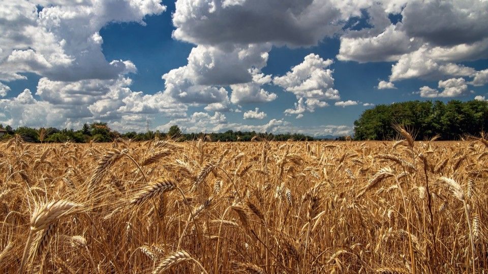 So startet Rheinland-Pfalz in die Sommerferien
