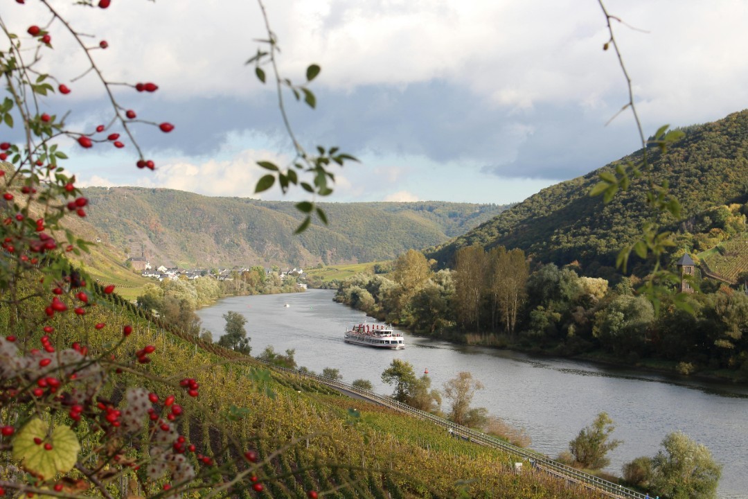 Schmitt begrüßt Wegfall von Abgaben für Mosel-Binnenschiffer Schmitt begrüßt Wegfall von Abgaben für Mosel-Binnenschiffer