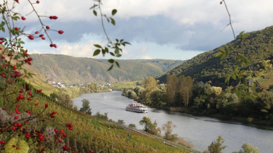 Schmitt begrüßt Wegfall von Abgaben für Mosel-Binnenschiffer