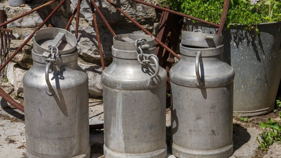 Tarifeinigung: Mehr Lohn für Molkerei-Mitarbeiter