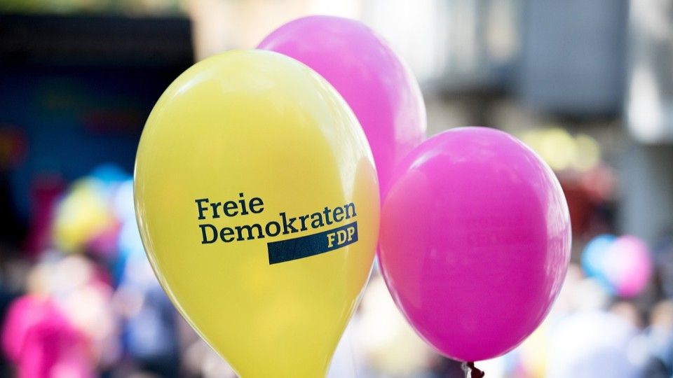 FDP-Fraktionschef über liberale Haushalts-Schwerpunkte