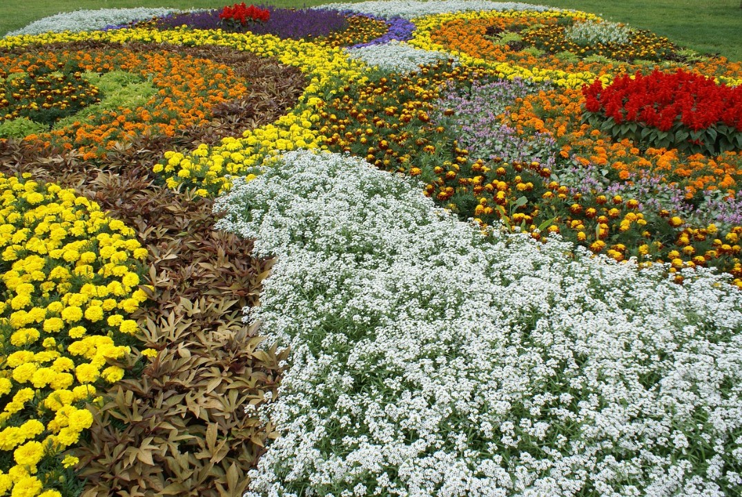 Montabaur bewirbt sich für Landesgartenschau 2032 Montabaur bewirbt sich für Landesgartenschau 2032