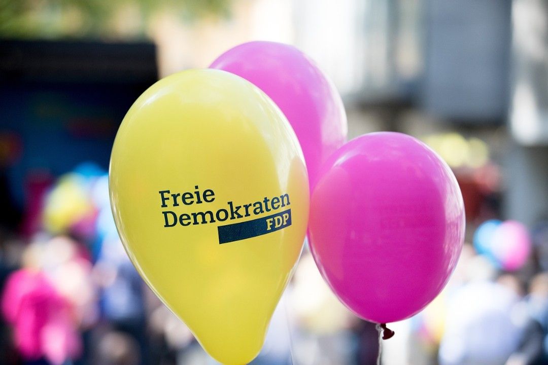 FDP-Fraktionschef über liberale Haushalts-Schwerpunkte FDP-Fraktionschef über liberale Haushalts-Schwerpunkte