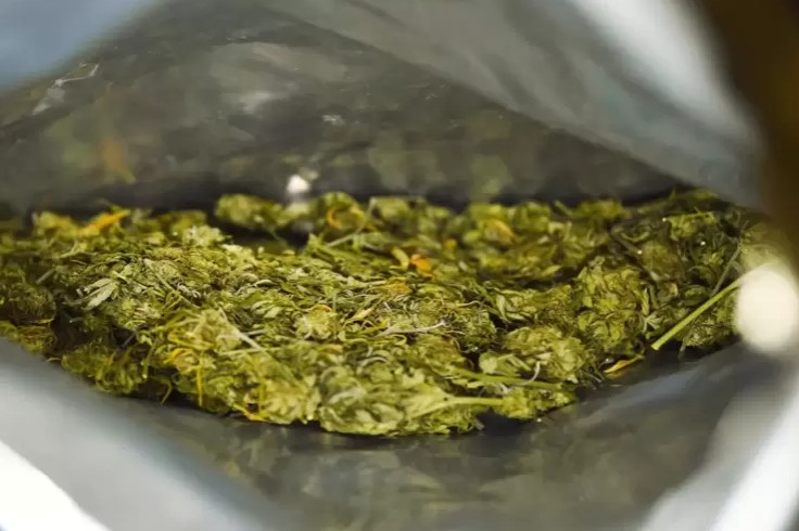 Zoll findet in Lkw etwa 1,8 Millionen Euro an Marihuana