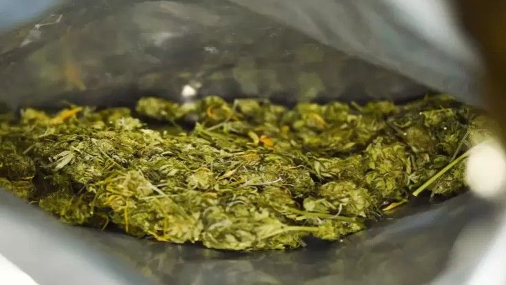 Zoll findet in Lkw etwa 1,8 Millionen Euro an Marihuana