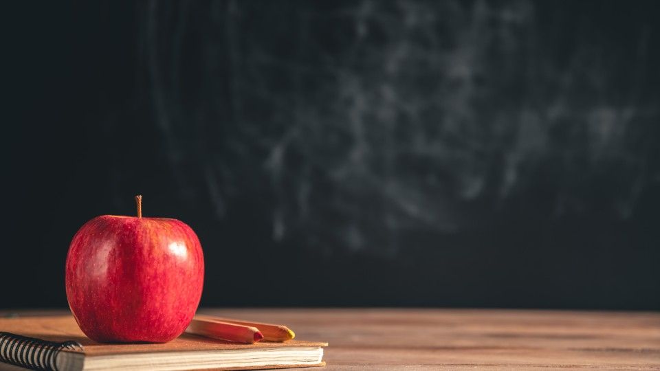 Schuljahr 2024/25: Einschulungszahlen bleiben stabil