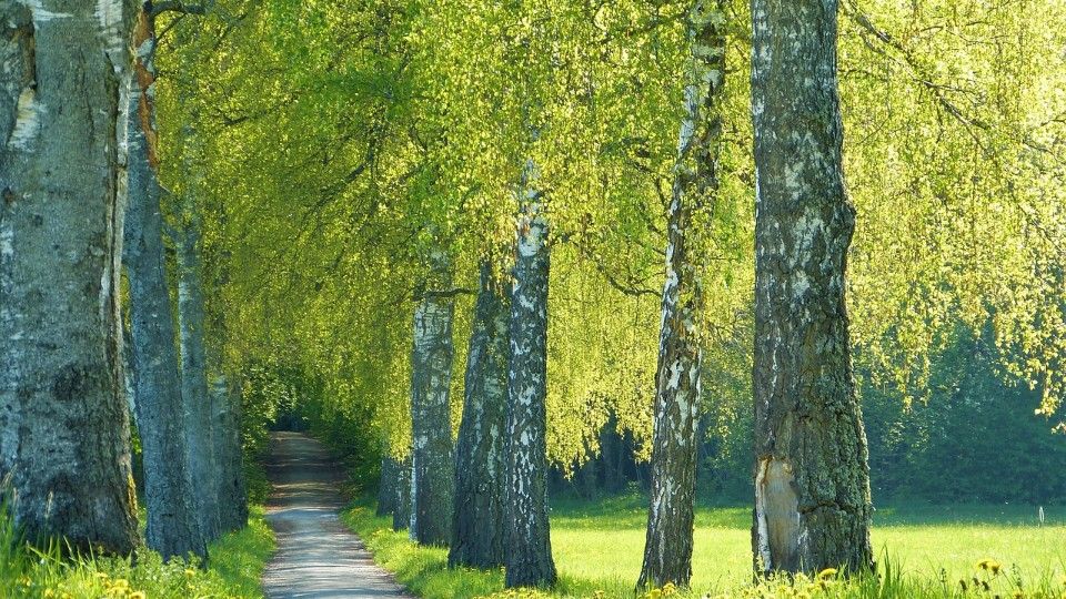 Kommunen investieren Millionen in Klimaschutz