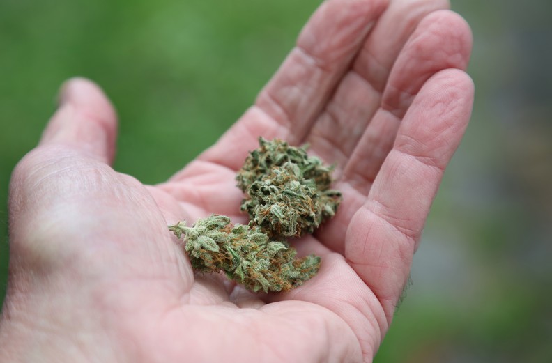 Katalog regelt Bußgeld für Verstöße gegen Cannabisgesetz Katalog regelt Bußgeld für Verstöße gegen Cannabisgesetz