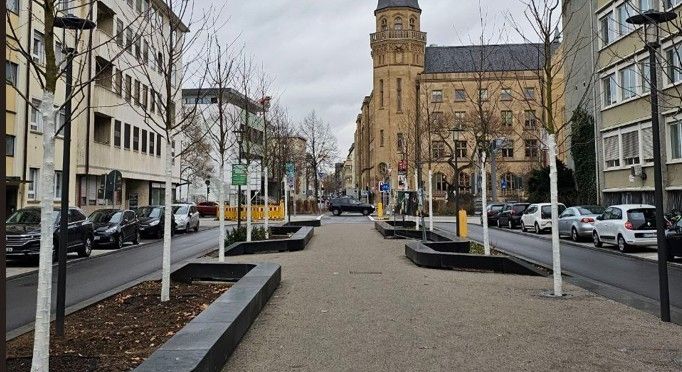 Grüne freuen sich: Die Südallee wird grün Grüne freuen sich: Die Südallee wird grün