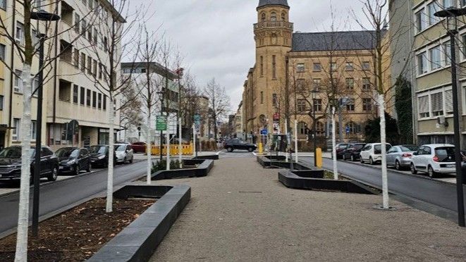 Grüne freuen sich: Die Südallee wird grün 