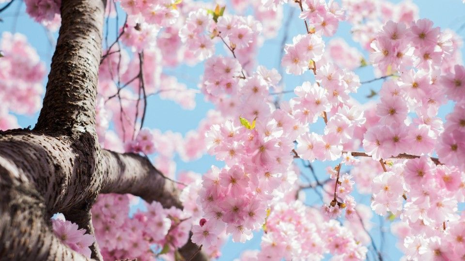 So gelingt der Start in den Frühling