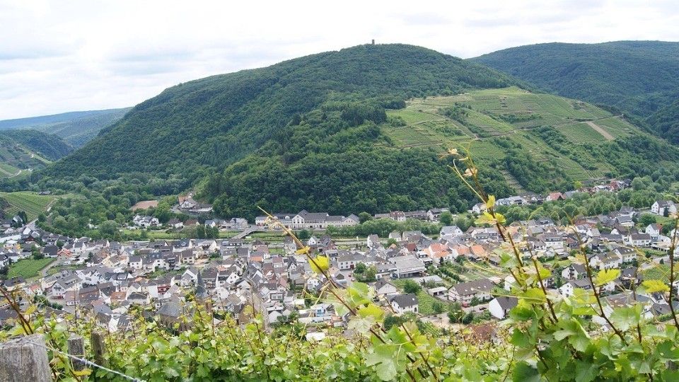 Im Ahrtal geht es voran - Kita-Spatenstich und Schulsanierung 