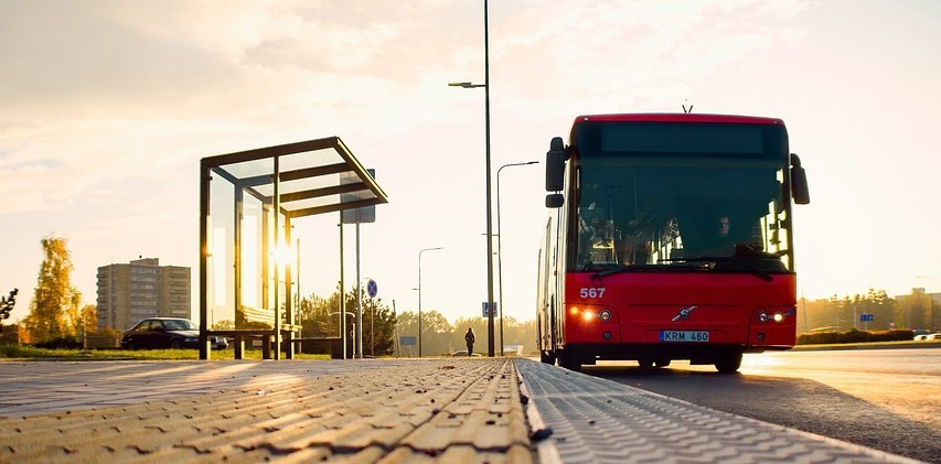 Umleitung der koveb-Linie 29 wegen Krötenwanderung Umleitung der koveb-Linie 29 wegen Krötenwanderung