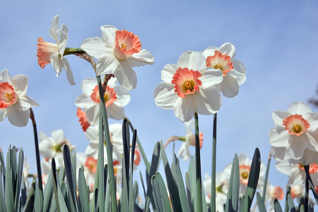 Frühlingswetter in Rheinland-Pfalz