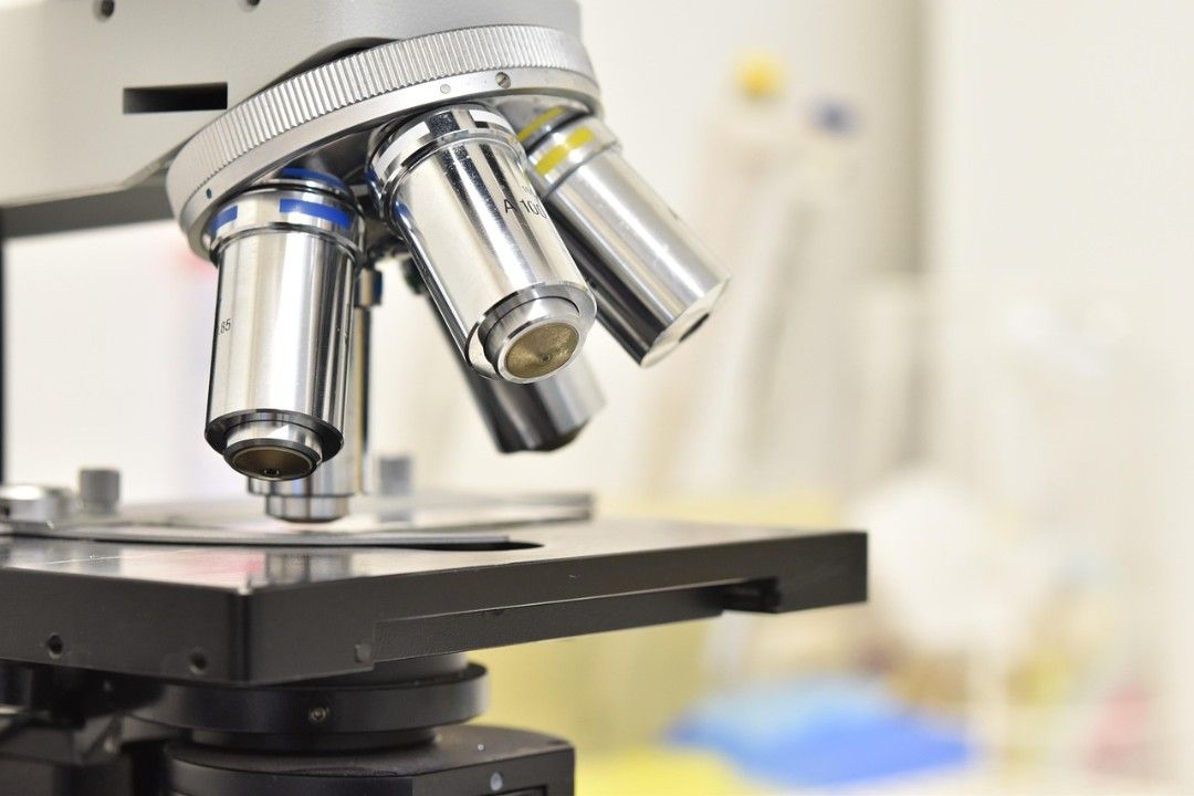 Jugend forscht: Erfolgreich mit Mikroplastik, Flussperlmuschel und Datenbrille Jugend forscht: Erfolgreich mit Mikroplastik, Flussperlmuschel und Datenbrille