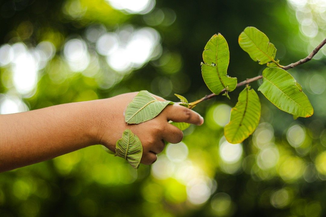 Neuwied passt sich an: Bürgerbeteiligung zum Klimaanpassungskonzept Neuwied passt sich an: Bürgerbeteiligung zum Klimaanpassungskonzept