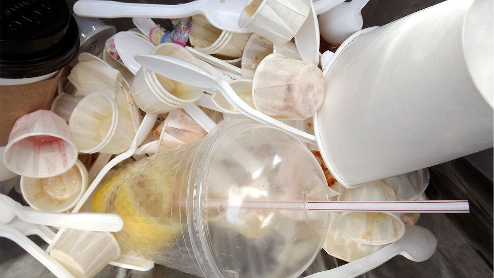 Neue Biomüllregeln ab 1. Mai: Was Verbraucher wissen sollten