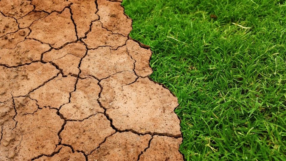 Landtag streitet um Klimaschutzgesetz - Wirtschaft wettert
