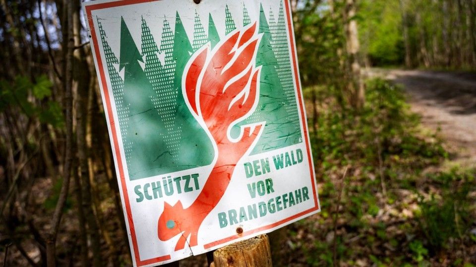 Ministerium warnt vor zunehmender Waldbrandgefahr
