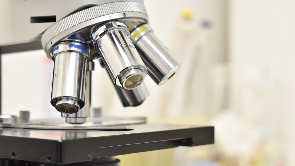 Jugend forscht: Erfolgreich mit Mikroplastik, Flussperlmuschel und Datenbrille