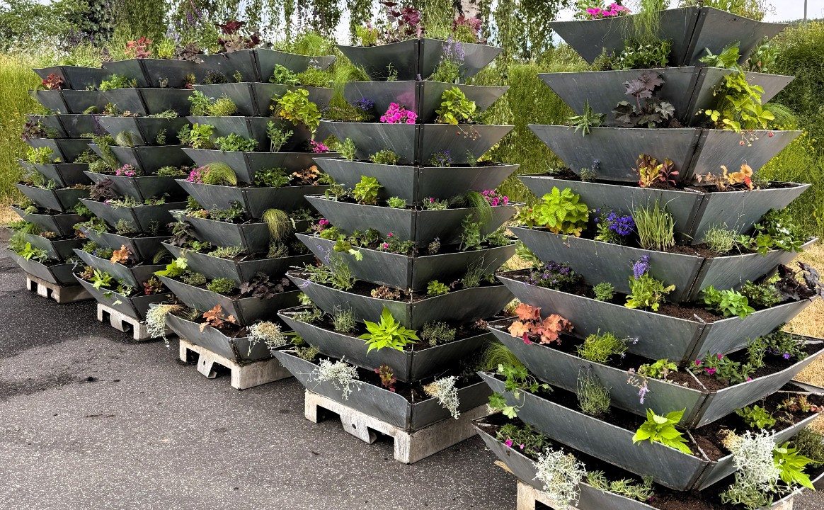 Mehr Grün für die Stadt: Sommerbepflanzung mit Herz, Duft und Summen