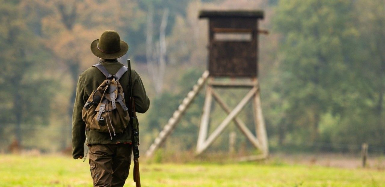 Jagdgesetz weiter umstritten - wackelt die FDP? Jagdgesetz weiter umstritten - wackelt die FDP?