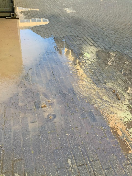Fernunterricht am Megina-Gymnasium Mayen aufgrund eines Wasserrohrbruchs Fernunterricht am Megina-Gymnasium Mayen aufgrund eines Wasserrohrbruchs