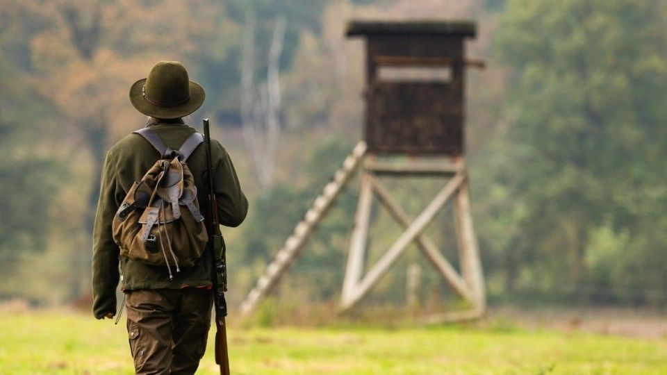 Jagdgesetz weiter umstritten - wackelt die FDP?