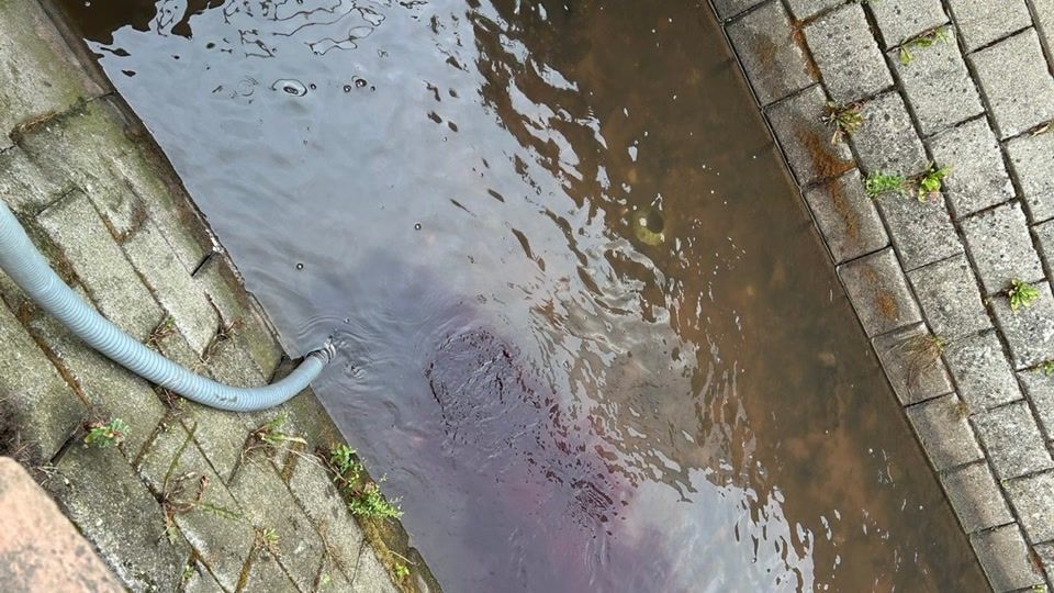 Rheinland-Pfalz: Wein aus 30.000 Liter-Fass fließt in Bach