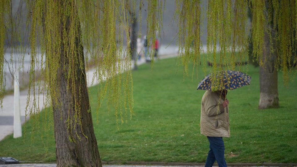 Regen und Gewitter in Rheinland-Pfalz und dem Saarland