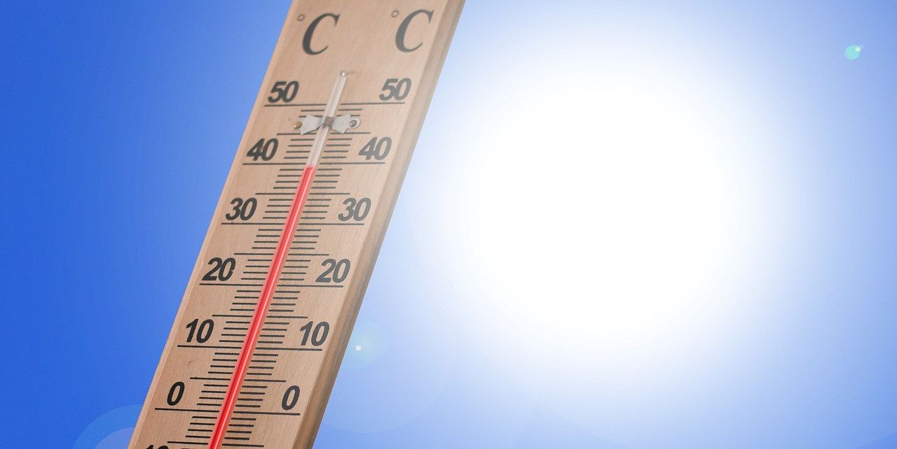 Hitzewelle auf Höhepunkt: Bis zu 40 Grad erwartet Hitzewelle auf Höhepunkt: Bis zu 40 Grad erwartet